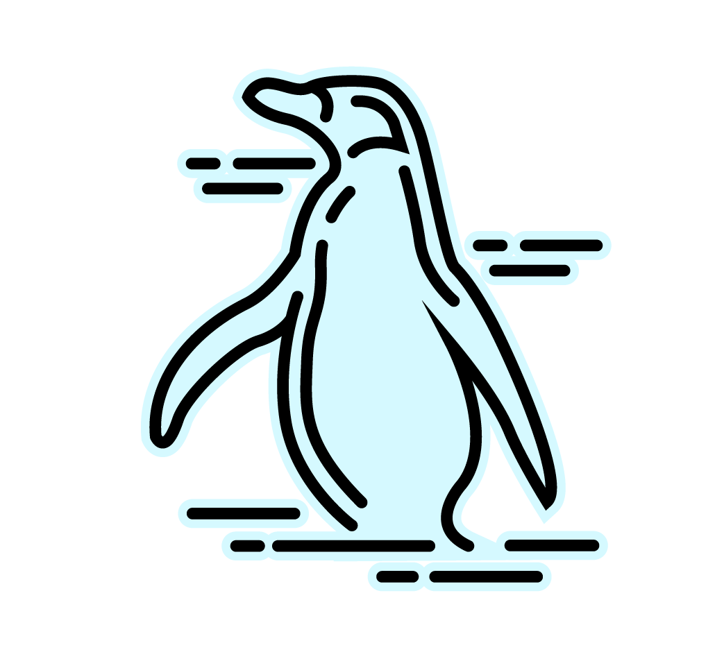 Icono de Punta Arenas